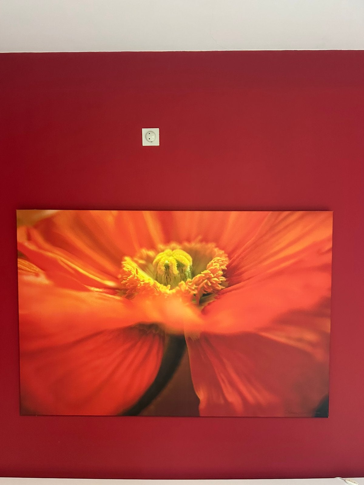 Canvas, Enlèvement, Comme neuf, Peinture