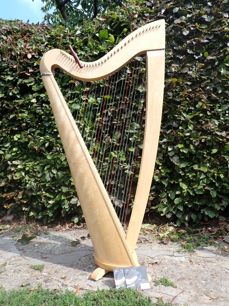 Harp Camac, Muziek en Instrumenten, Ophalen, Zo goed als nieuw