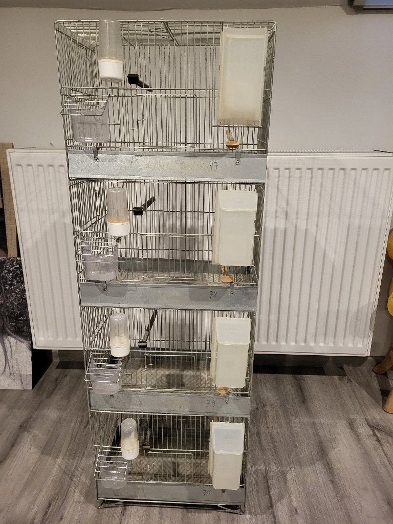 Kweekkooi, Dieren en Toebehoren, Ophalen, Gebruikt, Metaal, Broedkooi of Kweekkooi