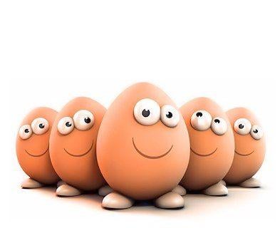 Oeufs frais fermiers, Divers, Enlèvement