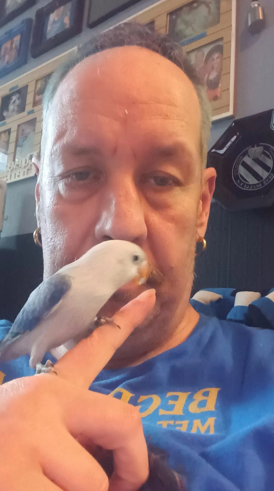 Kopprlte halftam dwergpapegaaien te koop +2,zakjes eten, Dieren en Toebehoren, Ophalen