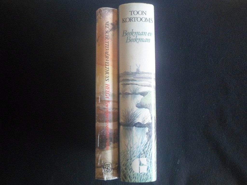Streekromans en volksverhalen, Boeken, Ophalen of Verzenden, Diverse auteurs