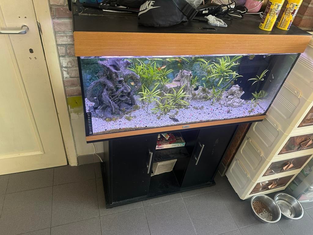 Vis aquarum met vissen te koop, Enlèvement, Comme neuf