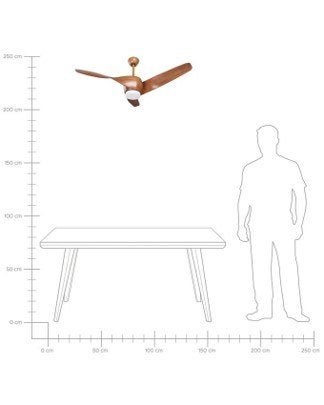 Ventilateur, Enlèvement, Ventilateur avec télécommande, Neuf, Ventilateur de plafond