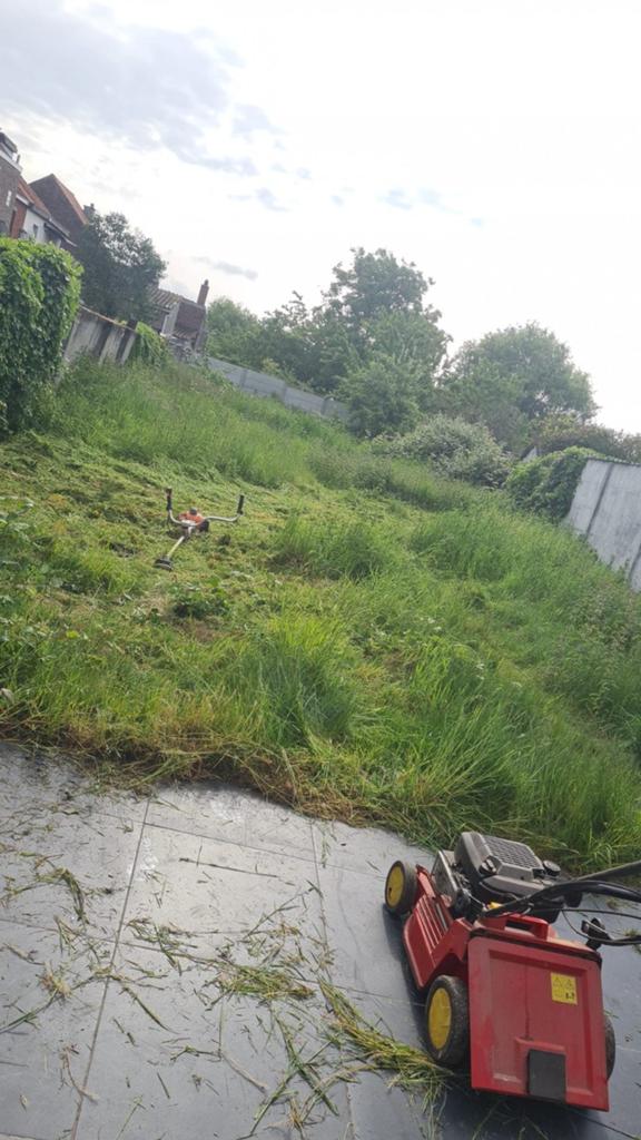 Herstel van parken en tuinen, Tuin en Terras, Planten | Bomen, Ophalen of Verzenden