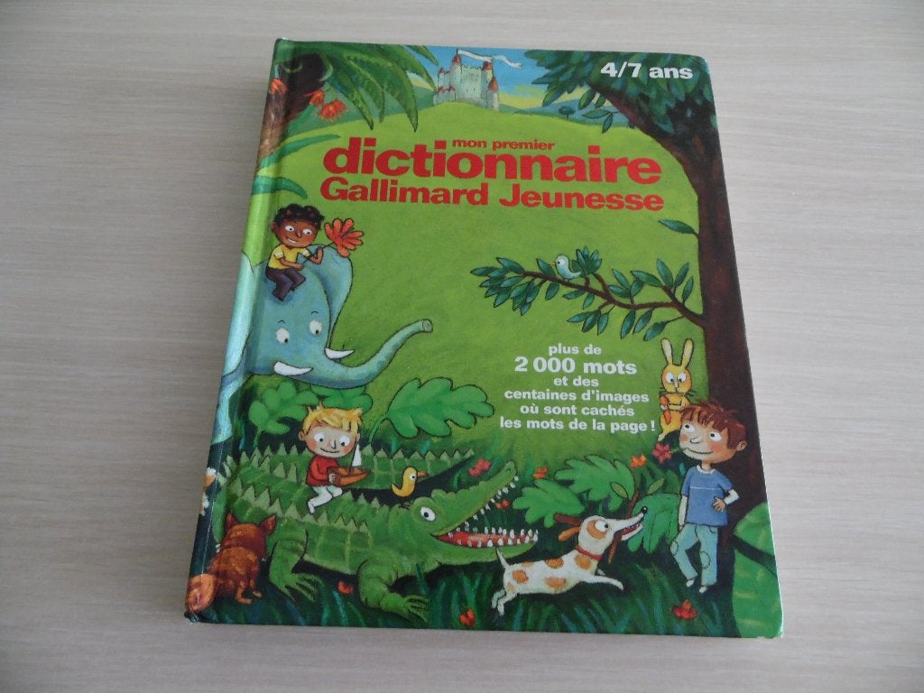 MON PREMIER DICTIONNAIRE     GALLIMARD JEUNESSE, Boeken, Kinderboeken | Jeugd | onder 10 jaar, Zo goed als nieuw, Non-fictie, Ophalen of Verzenden