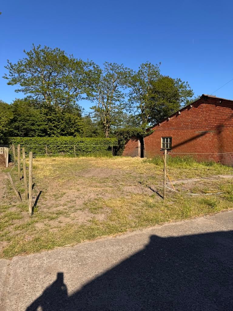 Stal met buitenloop te huur, Mise à l'étable, 1 cheval ou poney