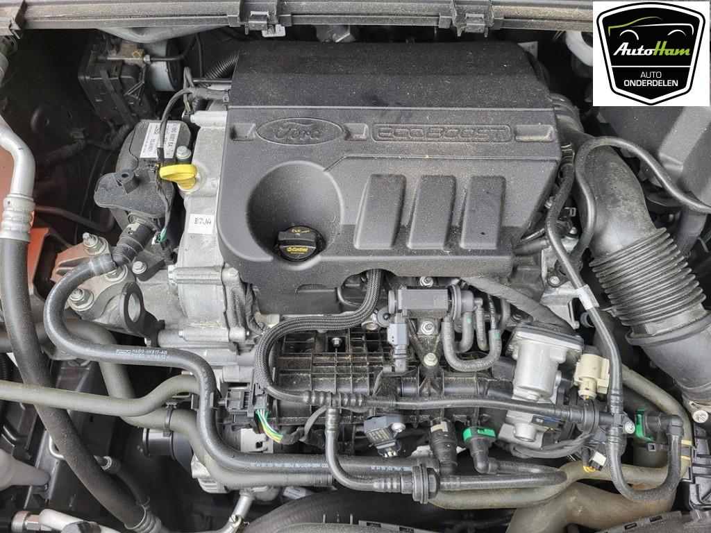 MOTOR Ford Puma (01-2019/-) (|2462618|L1BG6006MA|), Dhr. J. Ham, Gebruikt, Administratie@autoham.nl, Ford