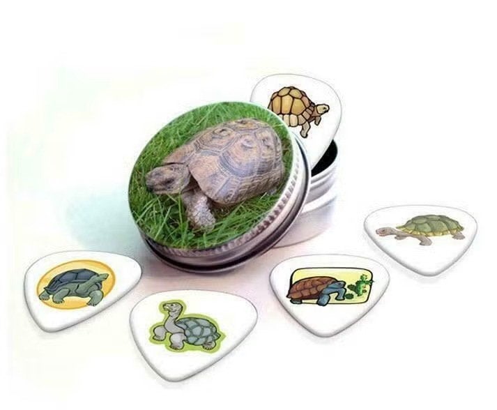 Blikje + plectrums met afbeelding van een Schildpad, Verzamelen, Ophalen of Verzenden, Nieuw