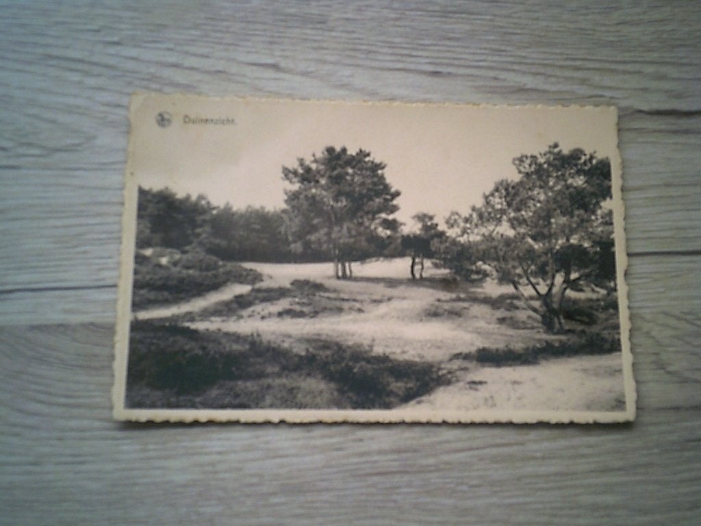 HEIDE / KALMMTHOUT: Duinenzicht, Ophalen of Verzenden, 1920 tot 1940, Gelopen, Antwerpen