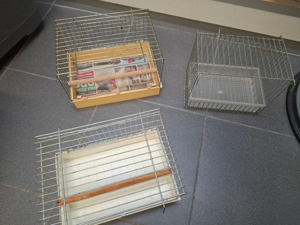 3 babykooien vogels, Dieren en Toebehoren, Vogels | Toebehoren, Ophalen, Gebruikt, Kooi-accessoires