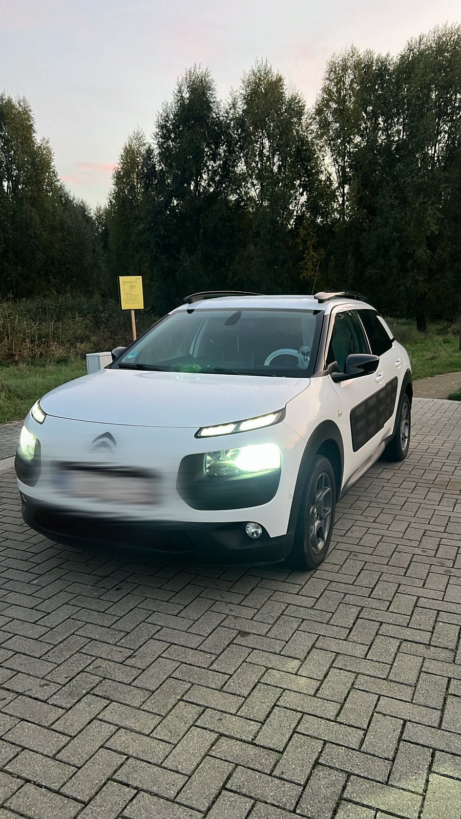 Citroen C4 Cactus Puretech 1.2 (Met Carplay), Auto's, Voorwielaandrijving, Euro 6, Leder en Stof, Wit