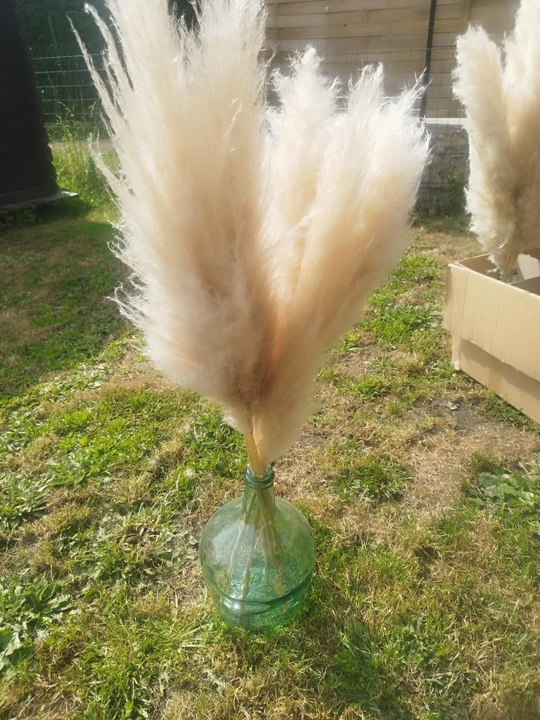 Décoration mariage vase dame Jeanne et pampas, Ophalen