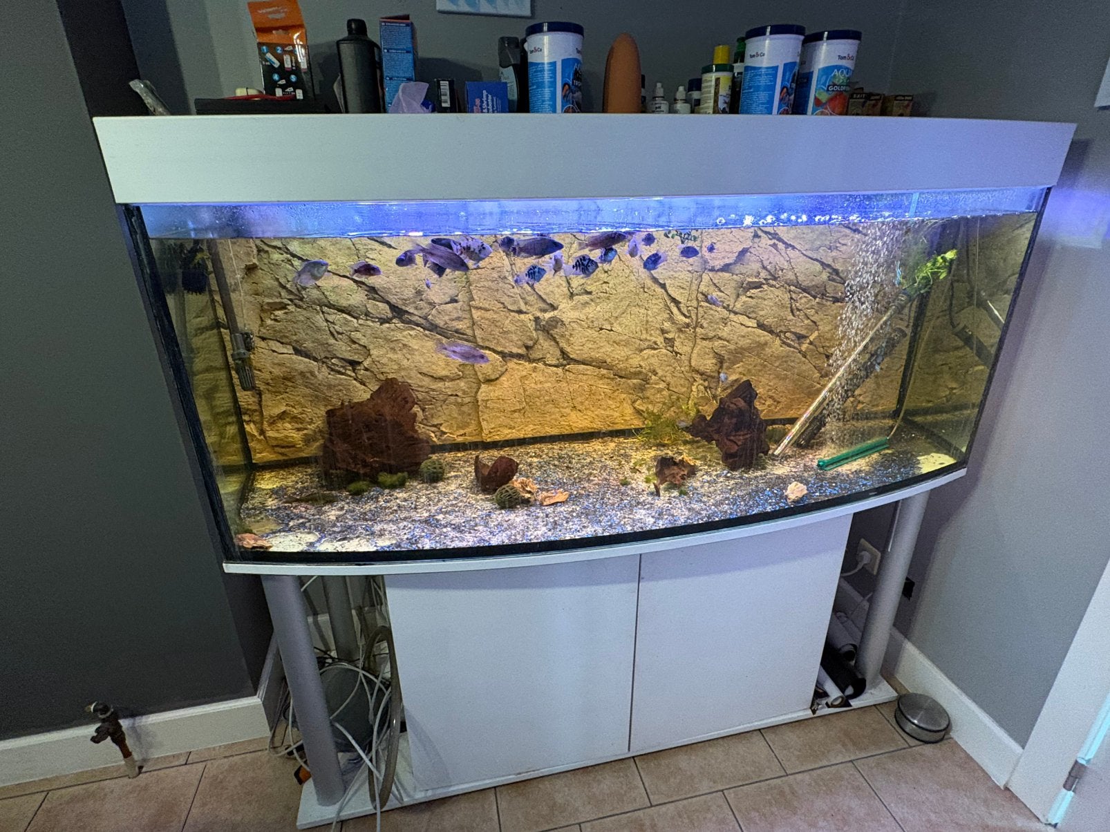 aquarium 150 cm te koop, Dieren en Toebehoren, Ophalen, Pomp, Gebruikt