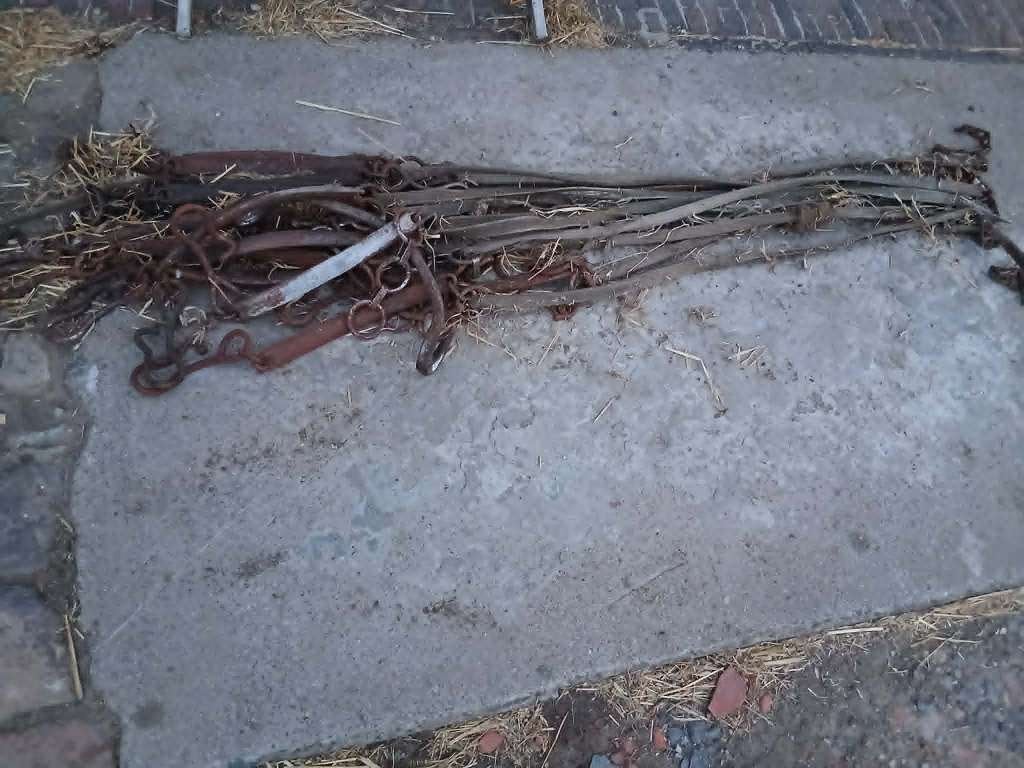 Bindsels rundvee, Dieren en Toebehoren