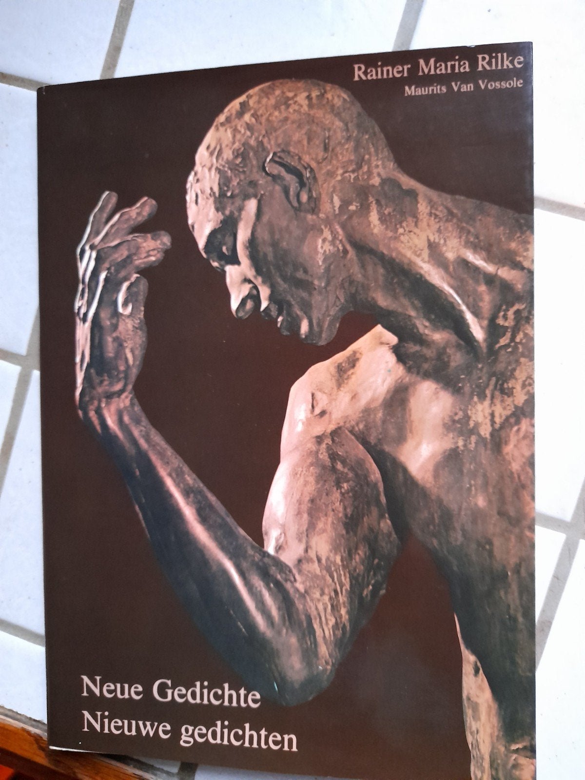 Nieuwe gedichten, Rilke, in 2 talen, NIEUW, Boeken, Ophalen of Verzenden, Nieuw