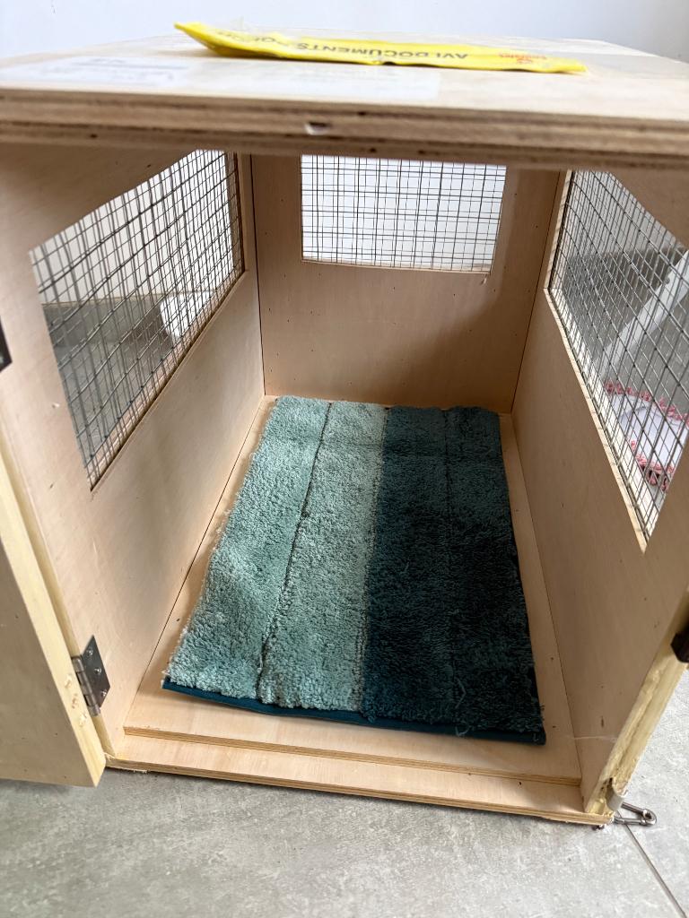 Katten transsport box, Enlèvement, Neuf