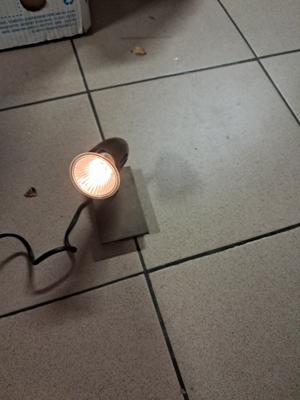 Vintage Verstelbare tafelpoten of vloerspot met dimmer, Enlèvement ou Envoi, Halogène, Spot de sol, Utilisé