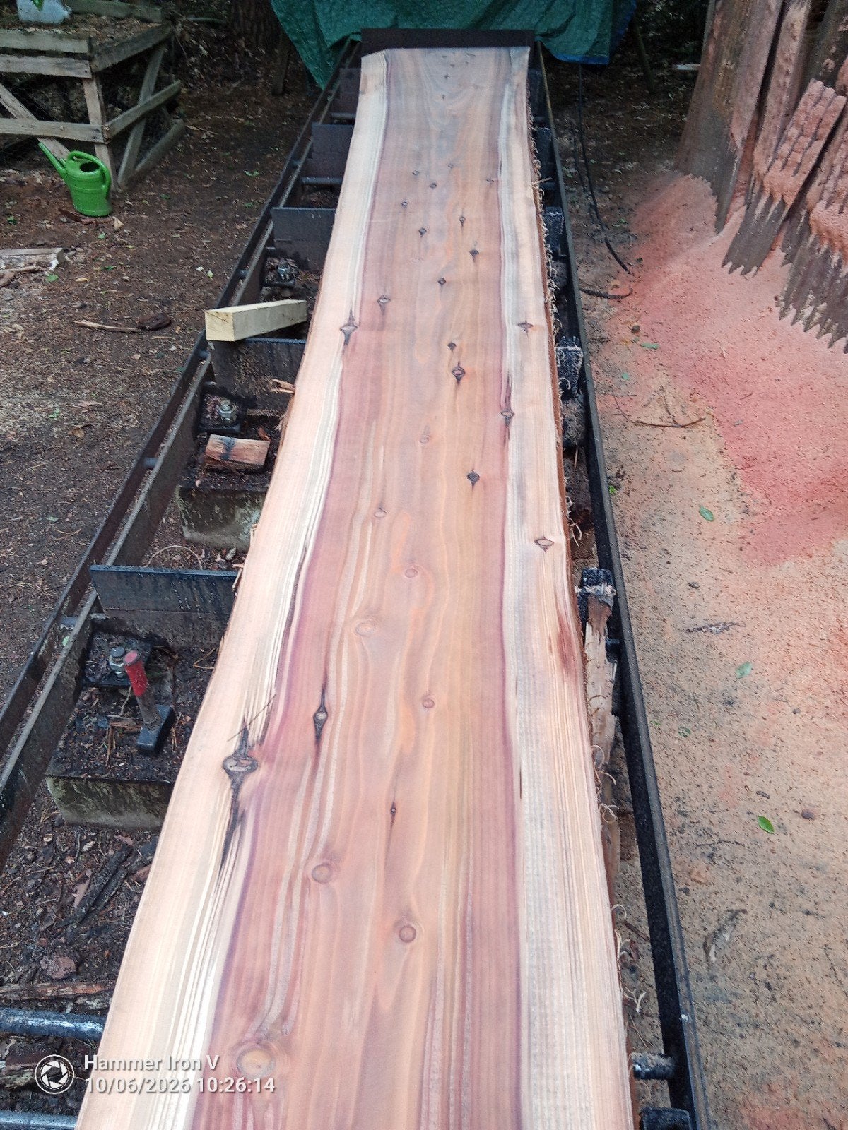 Unieke Sequoia boomstamplanken, Jardin & Terrasse, Enlèvement, Planches