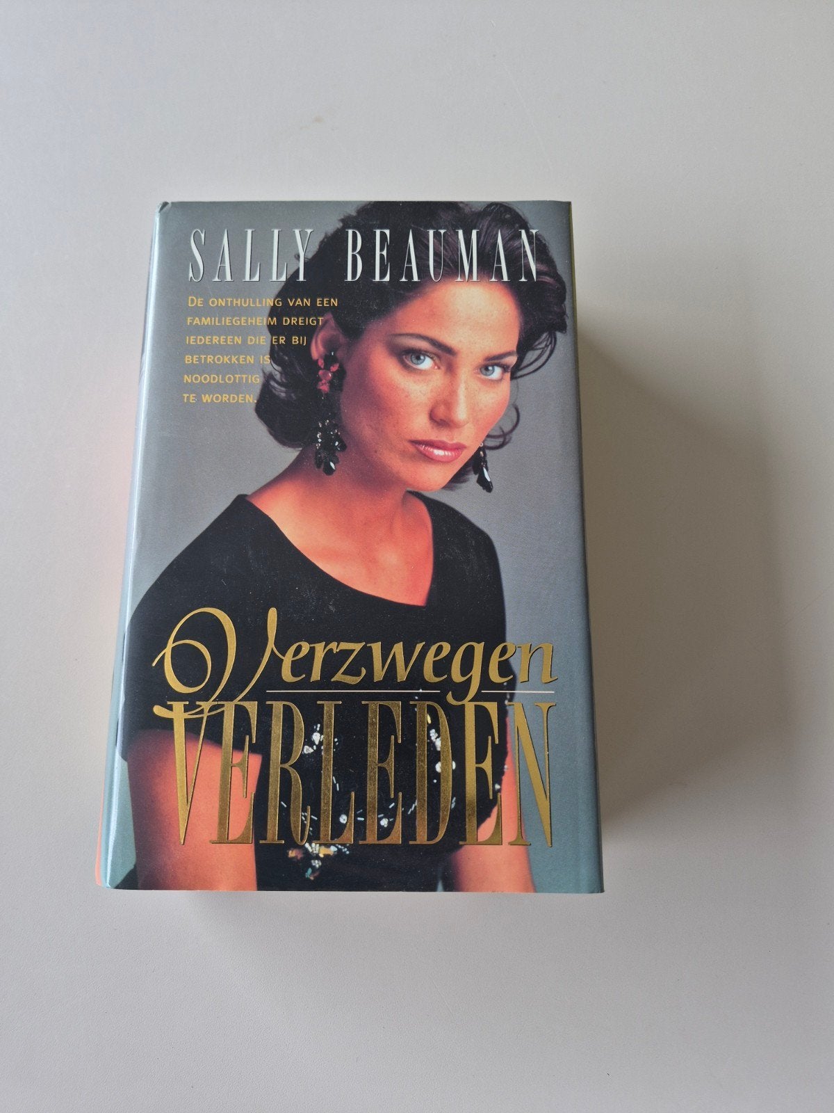 Verzwegen Verleden – Sally Beauman, Livres, Thrillers, Utilisé, Pays-Bas, Enlèvement ou Envoi