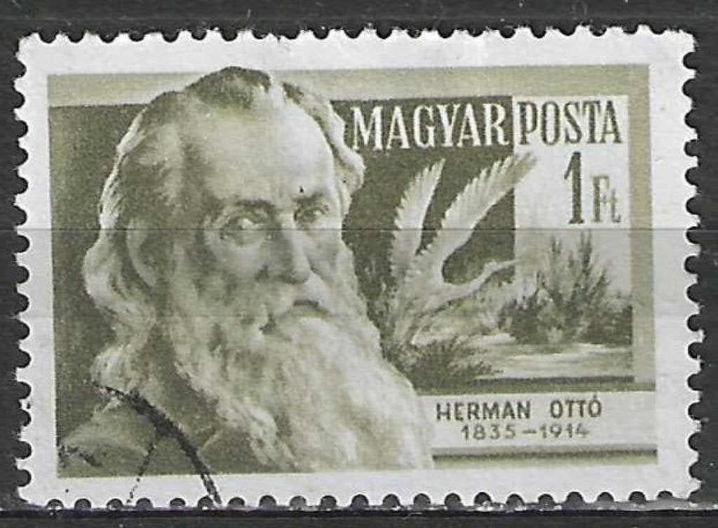 Hongarije 1954 - Yvert 1148 - Hongaarse Geleerden  (ST), Postzegels en Munten, Postzegels | Europa | Hongarije, Gestempeld, Verzenden