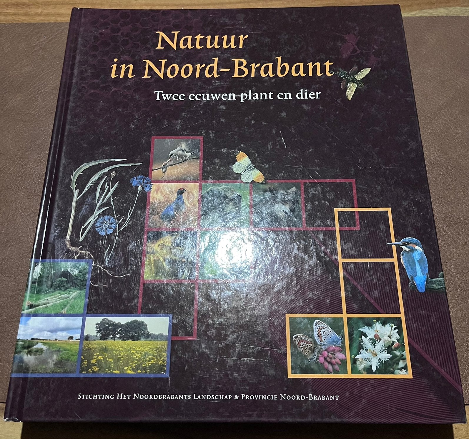 Groot boek - Natuur in Noord-Brabant -2 Eeuwen plant en dier, Livres, Nature, Enlèvement ou Envoi, Utilisé, Nature en général