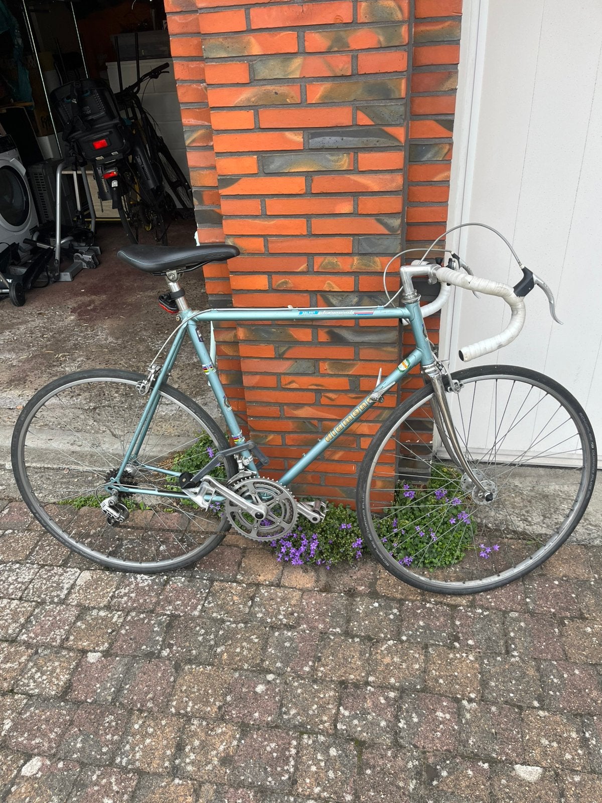 Koersfiets Diamond, Autres marques, 10 à 15 vitesses, Frein sur jante, Enlèvement