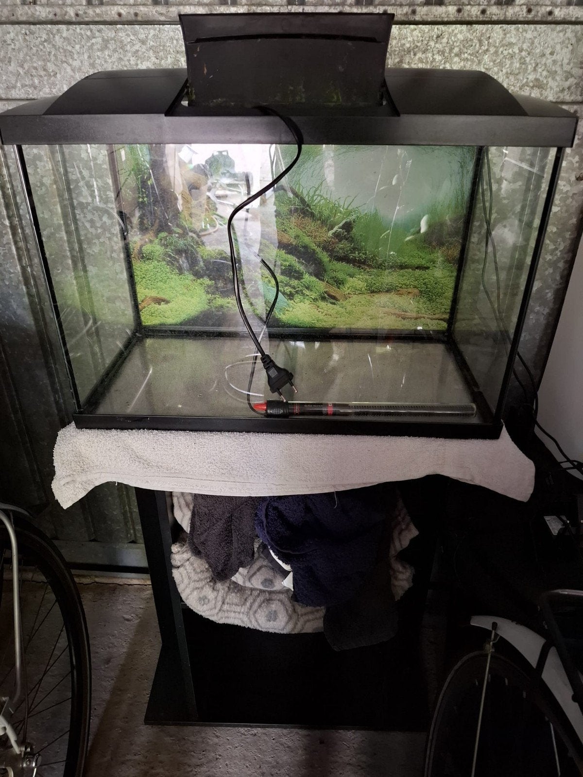 Aquarium, Dieren en Toebehoren, Ophalen, Filter