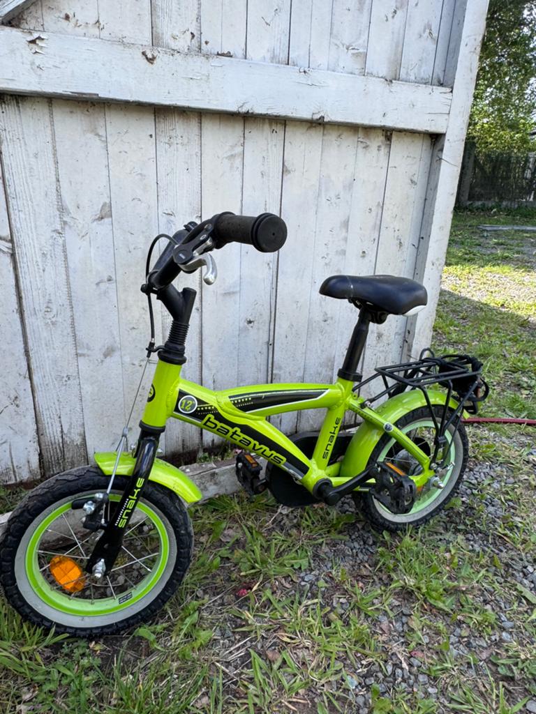 Batavus snake, Fietsen en Brommers, Ophalen, Gebruikt, Terugtraprem, Minder dan 16 inch