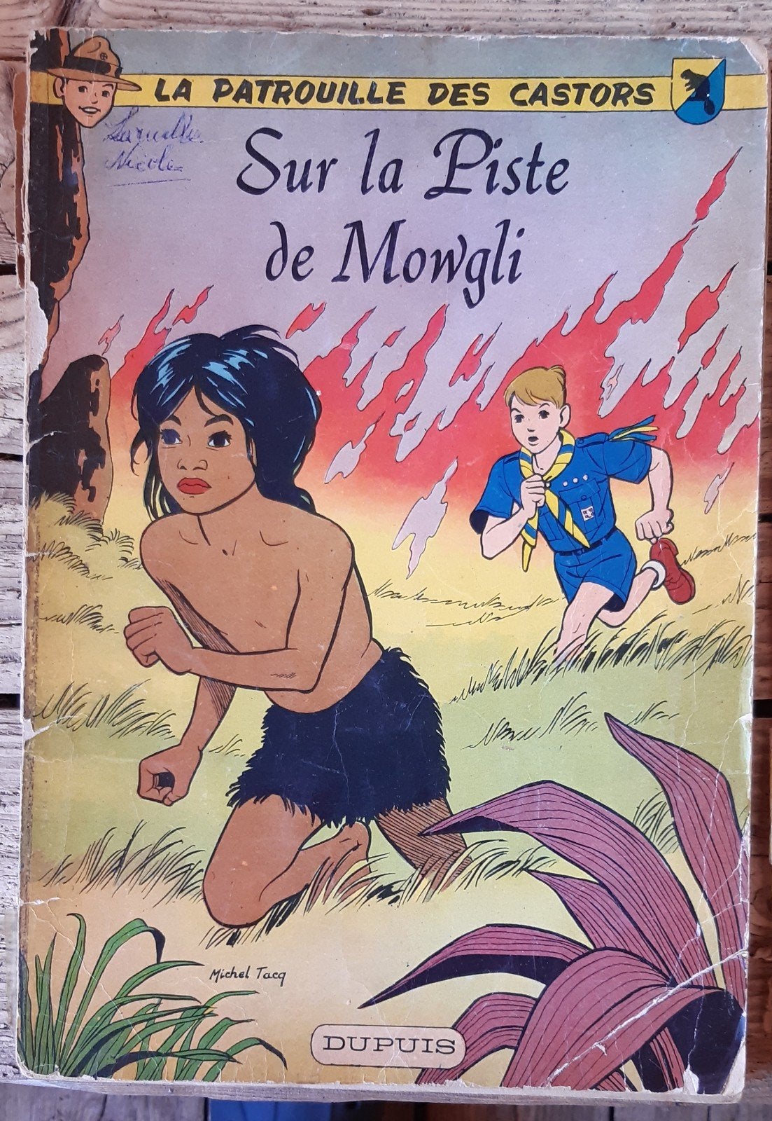 De Beaver Patrol, Non-fictie, Michel Tacq, Ophalen, Gelezen