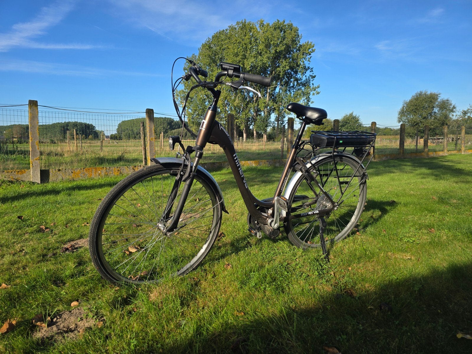 Elektrische fiets minerva Voyager Comfort, Ophalen