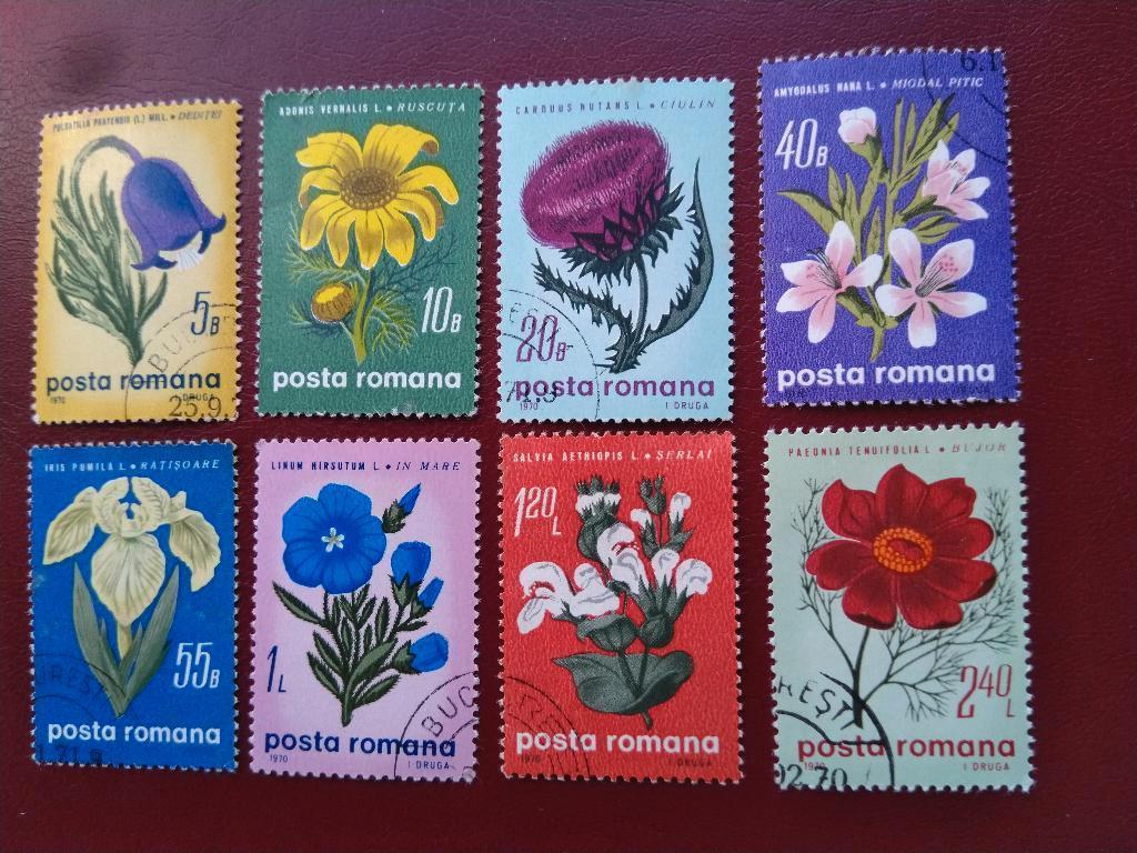 Flowers, Roumanie, 1970, Envoi, Affranchi, Animal et Nature