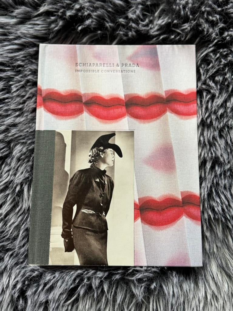 Schiaparelli & Prada design boek hardcover zeldzaam, Ophalen, Zo goed als nieuw