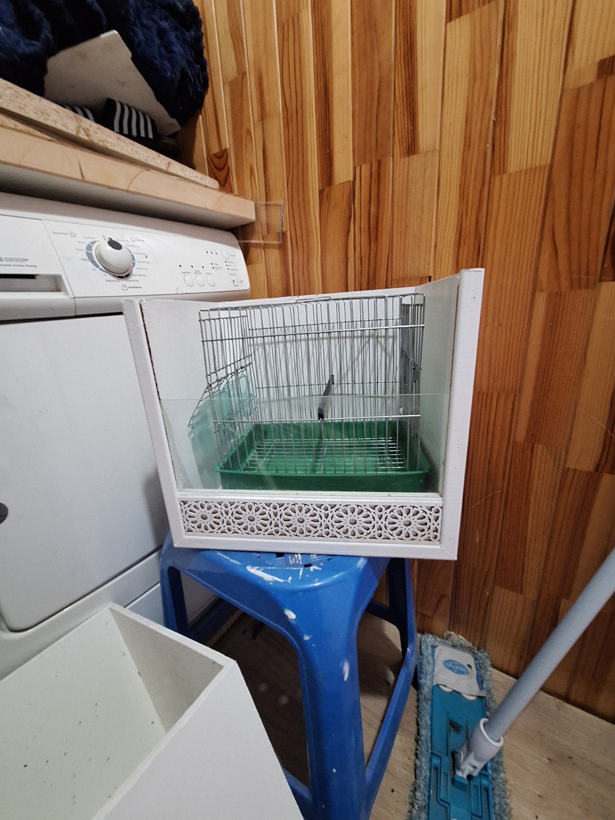 cage oiseaux, Animaux & Accessoires, Enlèvement ou Envoi, Bois