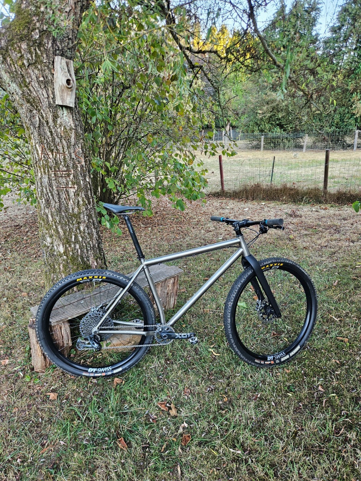 VTT titane sauvage 29" taille XL, Autres marques, 10 à 15 vitesses, 57 à 61 cm, Comme neuf
