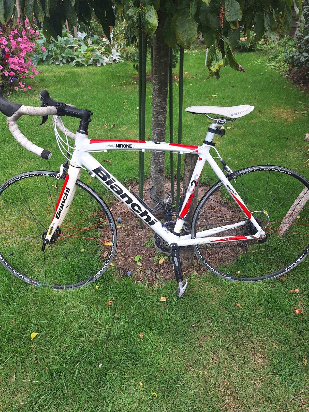 Bianchi Nirone 7, Enlèvement