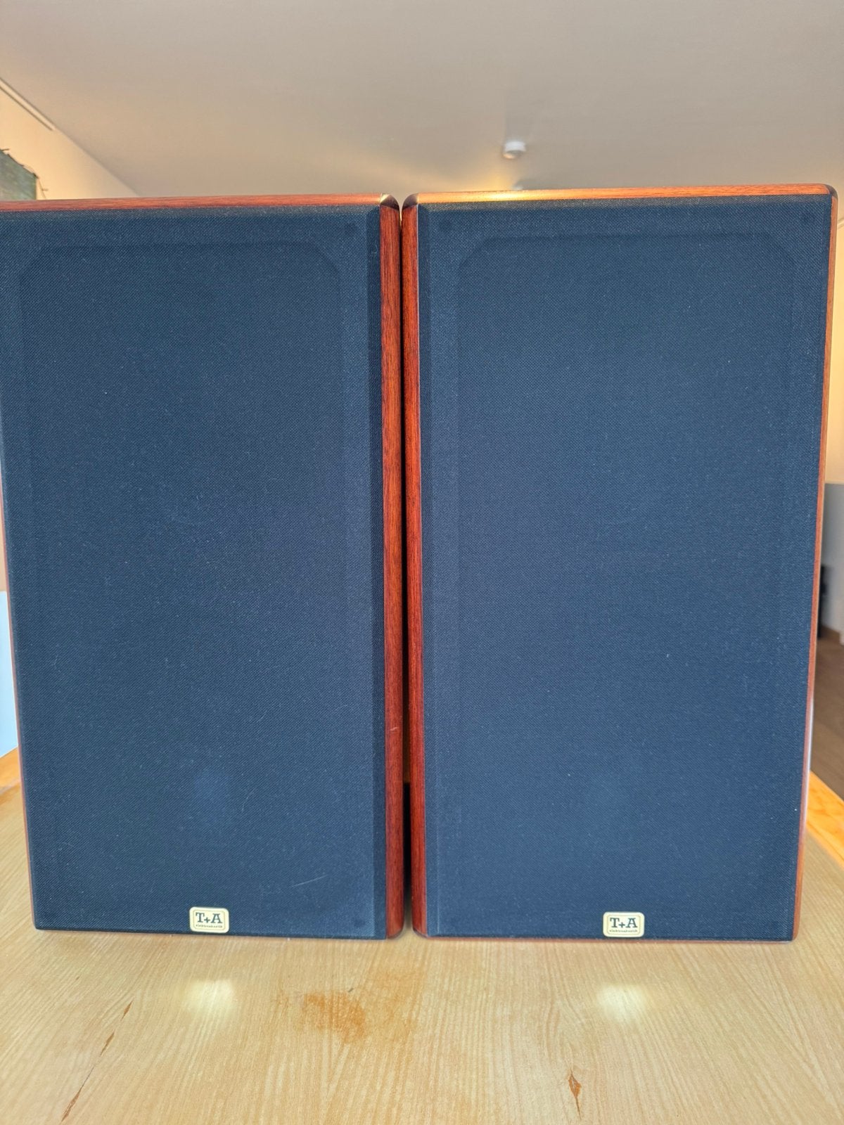Luidsprekerboxen T+A, Audio, Tv en Foto, Luidsprekerboxen, Stereo speakers, 120 tot 150 watt, Zo goed als nieuw, Ophalen