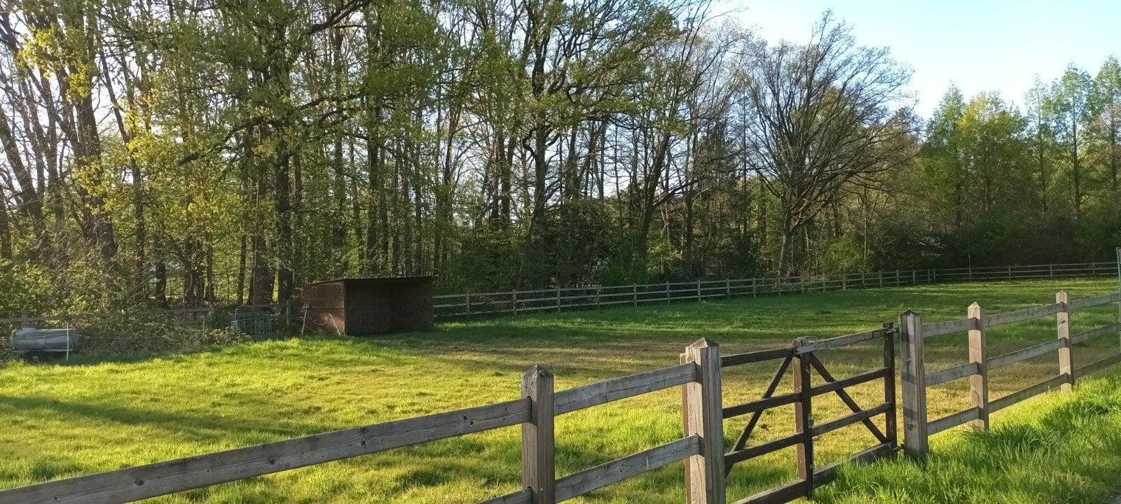 Weide 50 are te huur, Dieren en Toebehoren