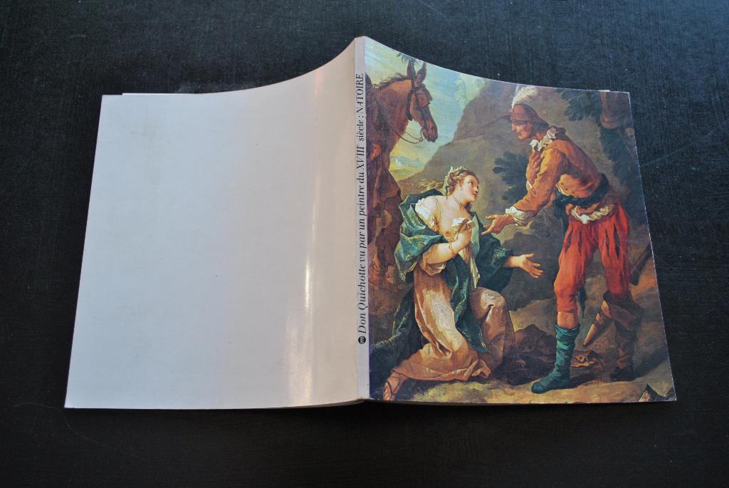 DON QUICHOTTE VU PAR UN PEINTRE DU XVIIIè SIECLE NATOIRE, Boeken, Ophalen of Verzenden, Gelezen, Schilder- en Tekenkunst