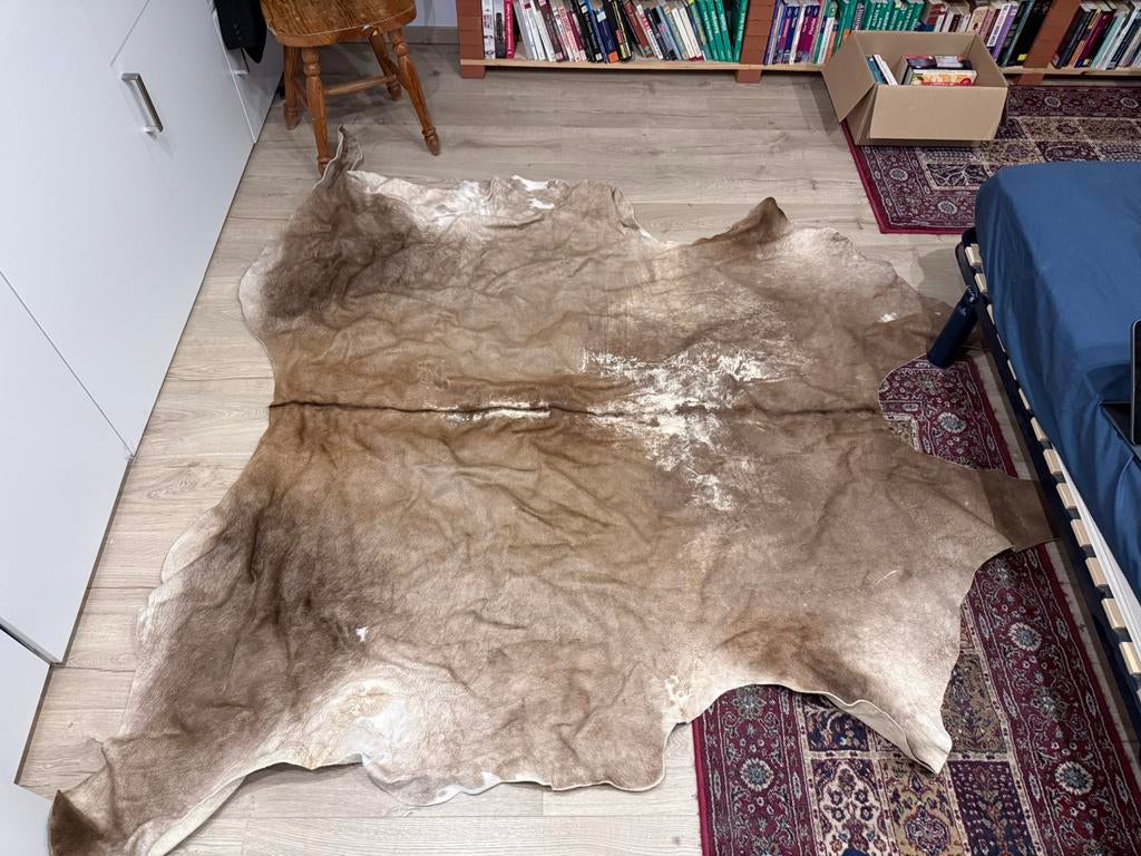 Tapis peau de vache, Enlèvement, Utilisé