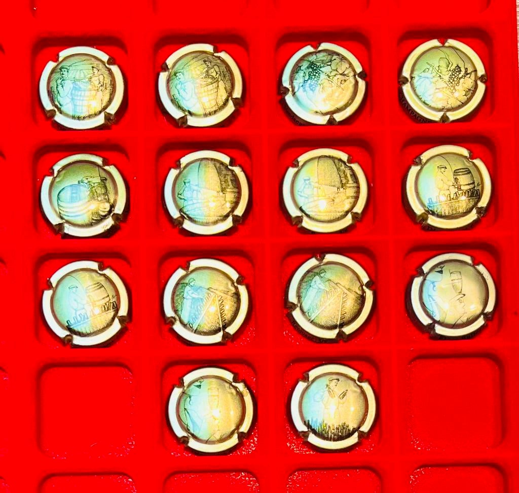 14 Champagnecapsules serie 705x, Ophalen of Verzenden
