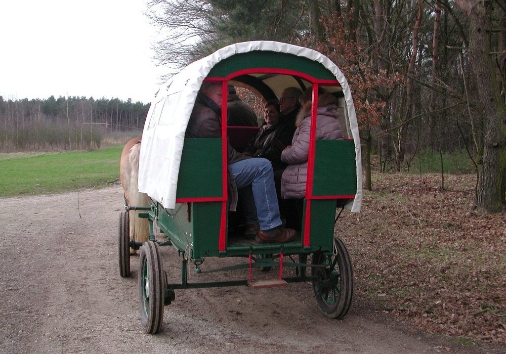 huifkar, Gebruikt, Overige typen, Pony
