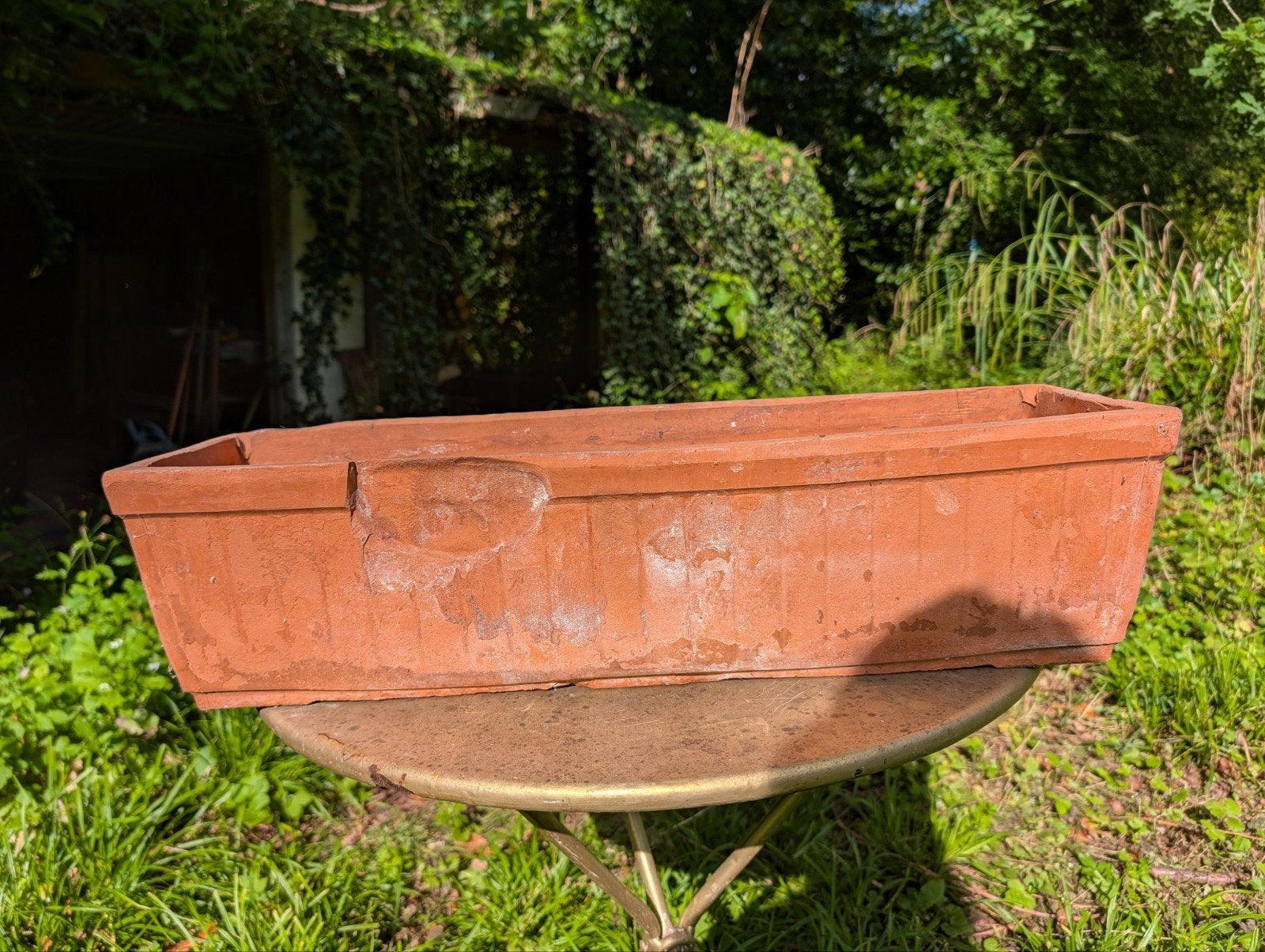 Langwerpige terracotta bloembak 60cm, Ophalen