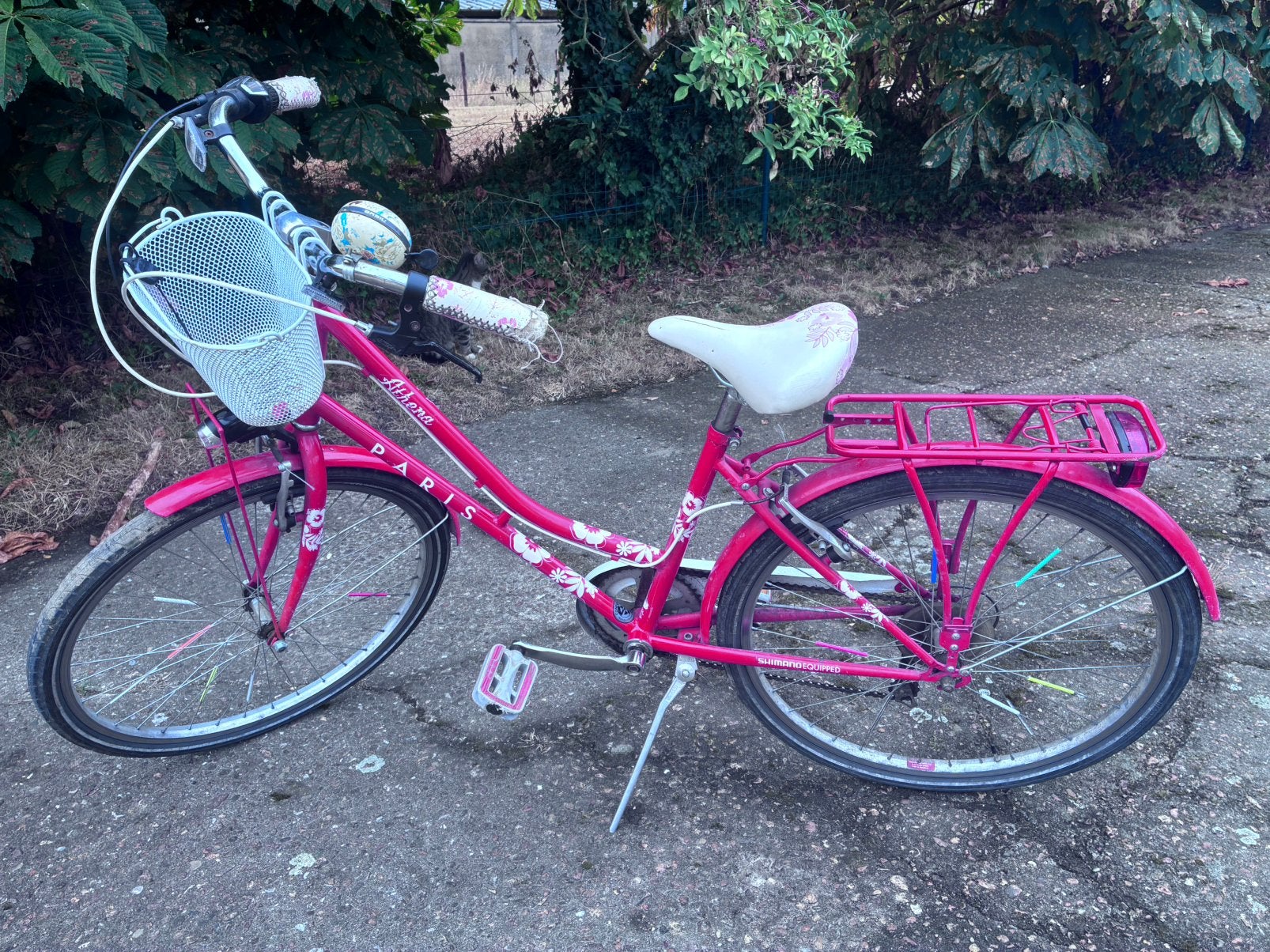 Alpina Paris meisjesfiets, Ophalen, Zo goed als nieuw, Versnellingen
