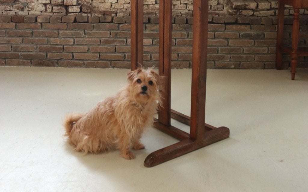 Houten schildersezel, atelierezel eind 19e-begin 20e eeuw, Ophalen
