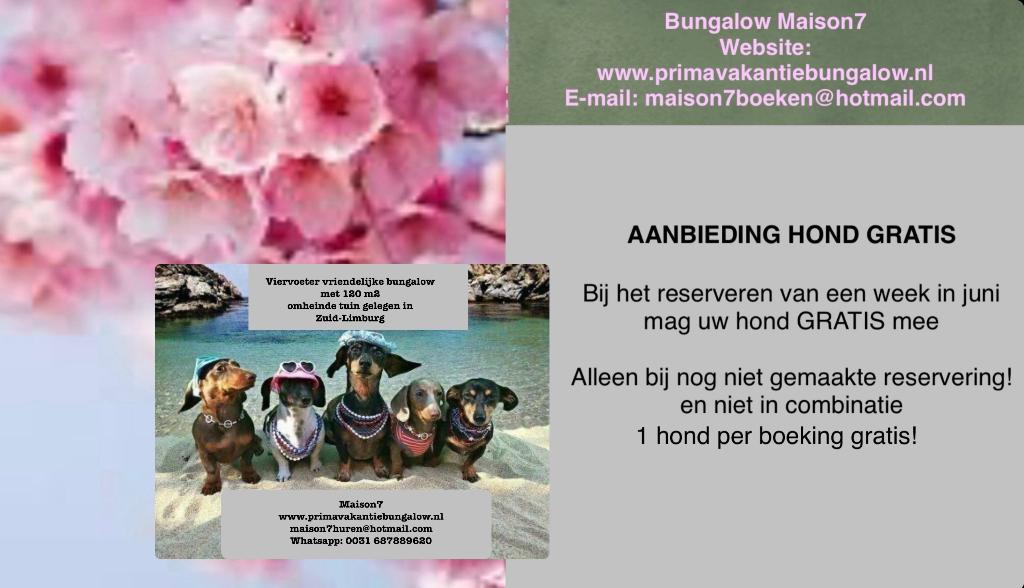 Hond GRATIS MEE OP VAKANTIE omheinde bungalow Zuid-Limburg, Enlèvement, Comme neuf