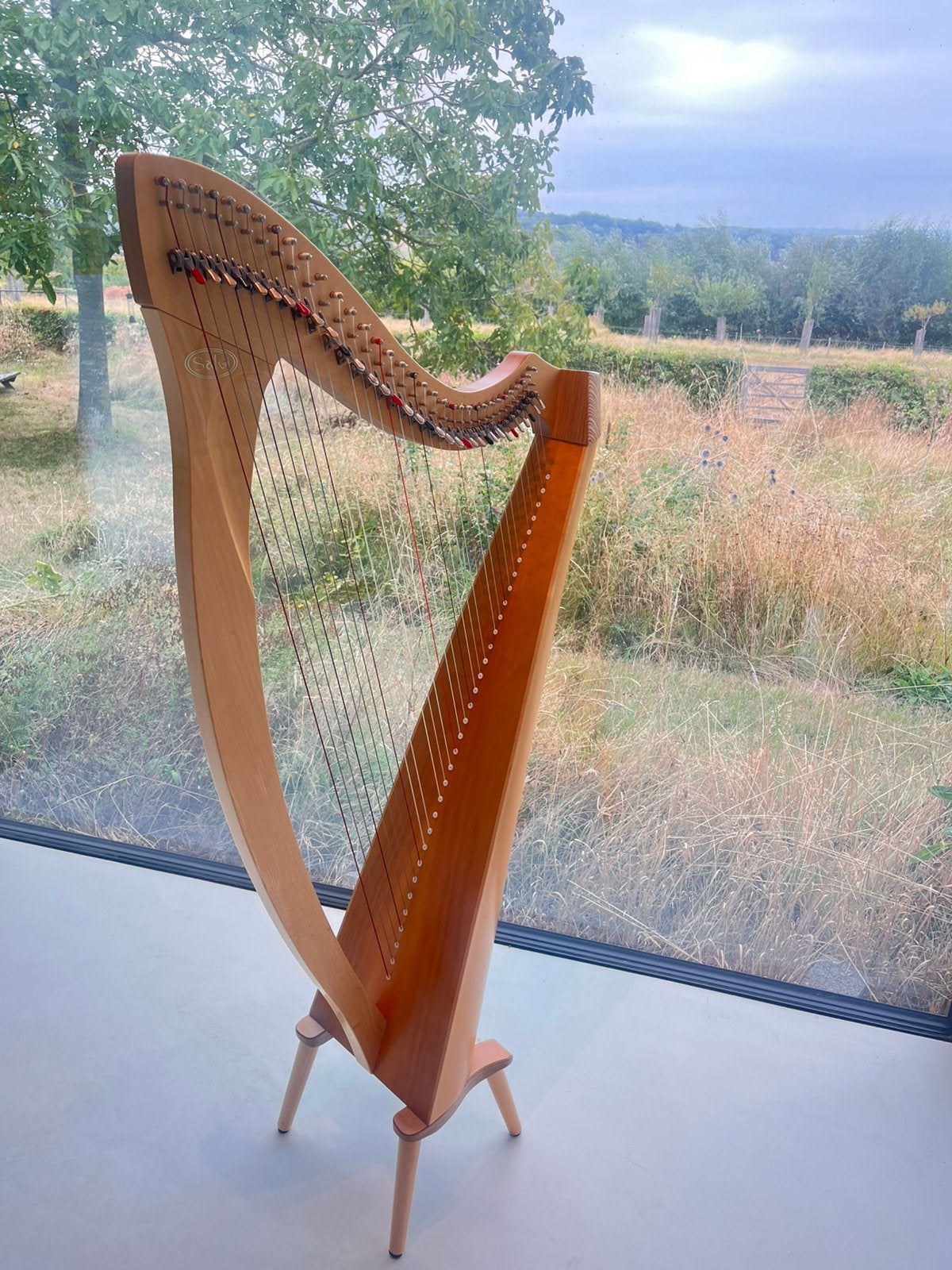 Salvi harp Aida, Enlèvement, Comme neuf