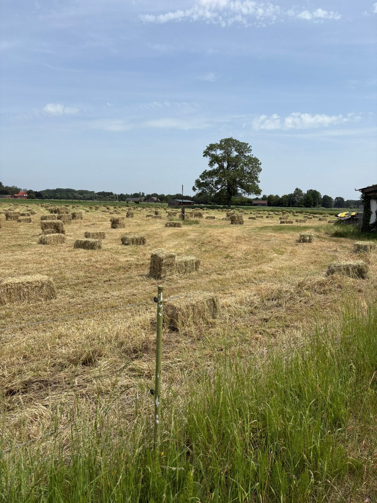 Hooi, Dieren en Toebehoren, Ophalen