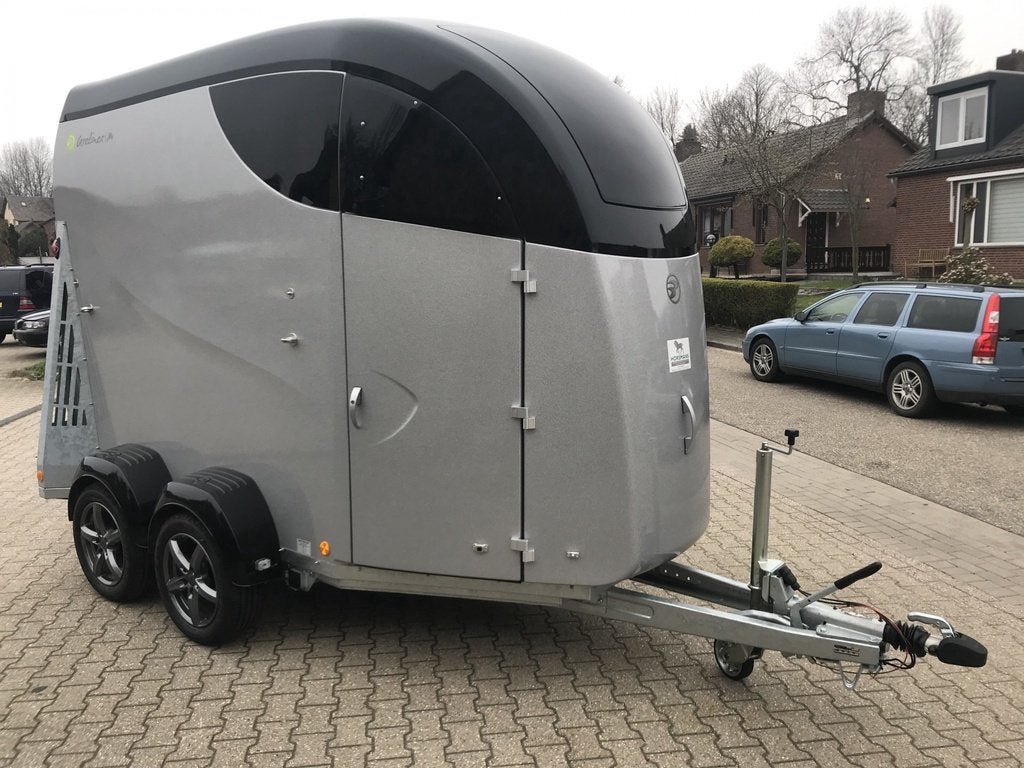 Bücker Careliner M