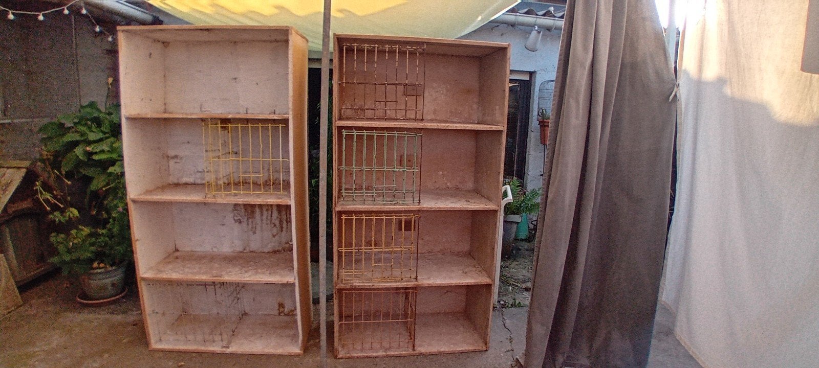 Duivenbakken, Animaux & Accessoires, Oiseaux | Pigeons